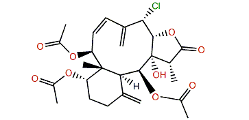 Robustolide C